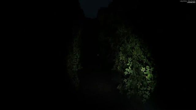 Labyrinthine | НОВЫЙ БАБАЙКА и СТРАХ ЛАБИРИНТОВ | Duo
