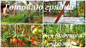 Убрала все томаты, кроме пяти Заправляем грядки для будущего урожая. Сидераты в теплице.