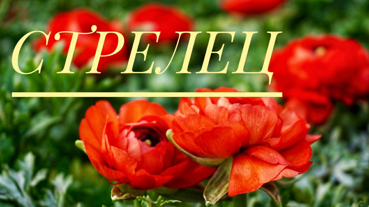 ♐СТРЕЛЕЦ таро-прогноз ? с 4-10 апреля 22г. + СОВЕТ карт  ТАРО. Гадание онлайн. #таро, #гаданиеонлай