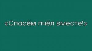 Спасем пчел вместе!