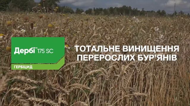 Гербіциди для зернових культур. Супер Майстерня Аграрія 2020: зона Лісостепу та Полісся смотреть онлайн