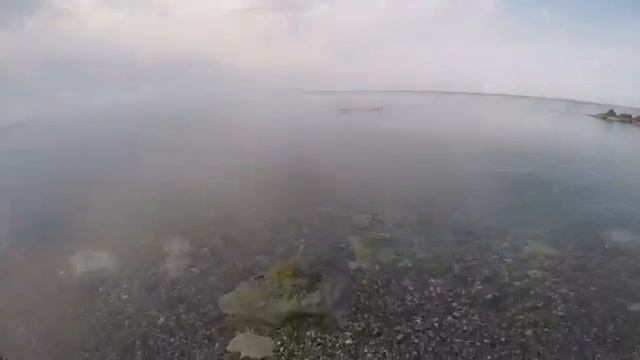 Отдых в Головинке. Отзыв наших гостей.