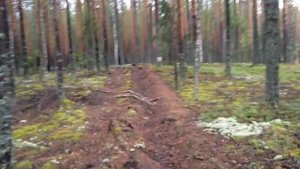 Коллиматорный прицел тест