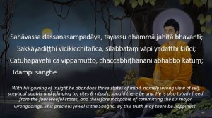 Daily Theravada Buddhist Chanting in Standard Pali (with Pali text and English Translation)