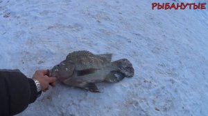 Атомная рыбалка на Чудо-Озере Удомля . Фидер в Январе по открытой воде. Рыбалка 2023. Зимний Фидер.