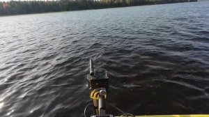 Волшебное озеро с крупным судаком . Рыбалка с паноптикс