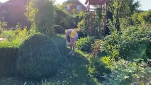 Сад 6.07.23 г. Это надо сделать обязательно !!! Обрезка клематисов после цветения.