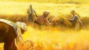 Притча о добром семени и о плевелах.Матф.13:24-30