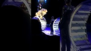 Это братья запашные трюк в книге рекордов гиннеса