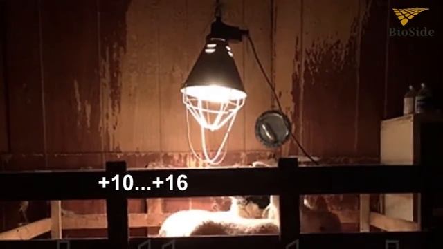 Ферментационная подстилка BioSide смотреть онлайн