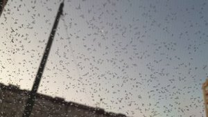 TOYOTA RAV4 Подогрев стекла - За сколько оттает ветровое стекло? ШОК! Челендж!