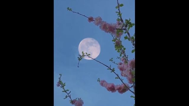 Релакс смотреть онлайн