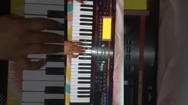 Roland Juno G keyboard Bhilwada pattern musician play смотреть онлайн