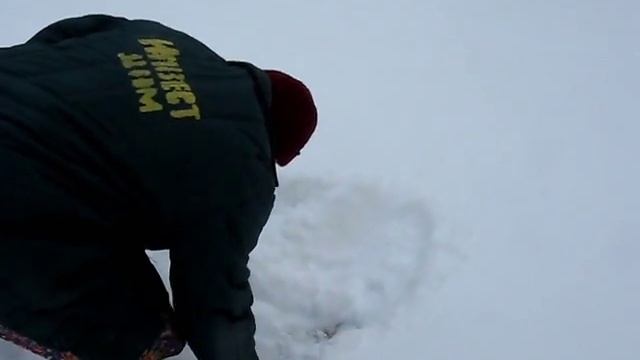 Ковер смотреть онлайн