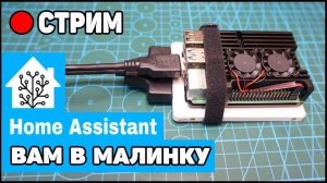 Стрим: Общаемся и ставим Home Assistant  на RPi с SSD