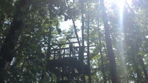 Веревочный парк "Маугли" 6 уровень, Skypark sochi