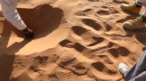 Dancing White Lady Spider.m2ts