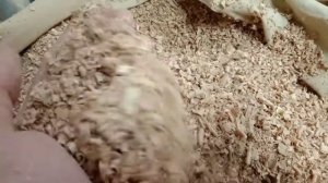 Щепа для копчения Бук