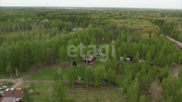 7784164 смотреть онлайн