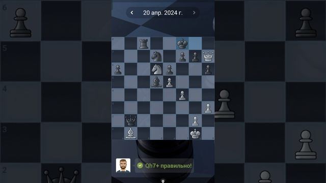 17. Chess quests #shorts