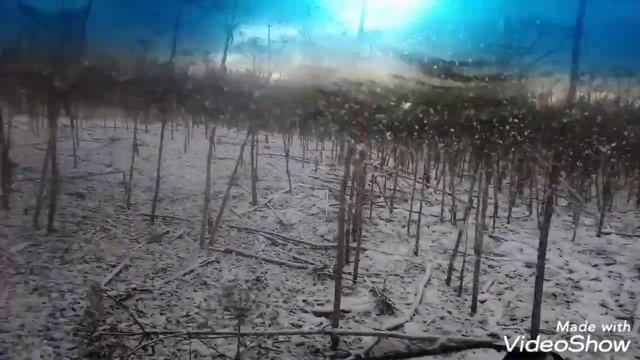 Какой металл хранят бани по чёрному? Коп металла.