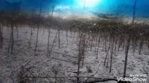 Какой металл хранят бани по чёрному? Коп металла.