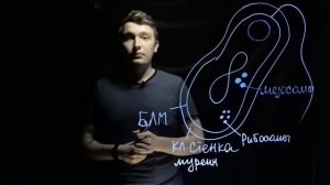 Строение бактериальной клетки для ЕГЭ| Andrey Biology