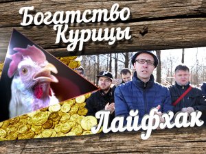 Богатство Курицы: Лайфхак. Как гонять лысого