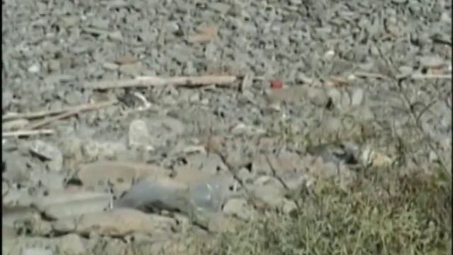 По островам Каспийского моря смотреть онлайн