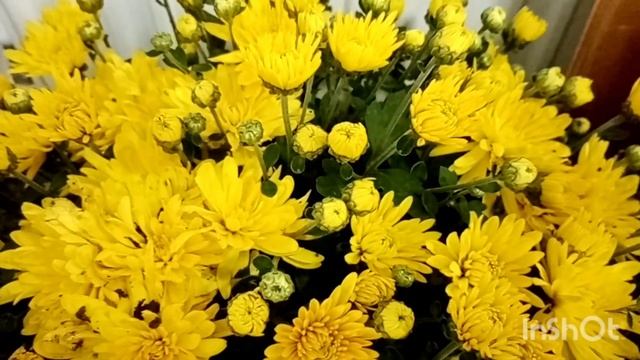 27 сентября День Воспитателя Красивое пожелание поздравление С Праздником