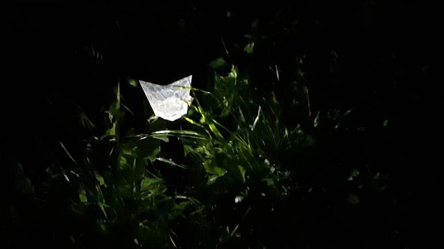 Стрекотание кузнечика Тихая летняя ночь Звуки природы Расслабление Релакс Успокоение Быстро заснуть смотреть онлайн