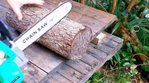 Review. Cordless chain saw ZITREK GreenSaw 20 PRO