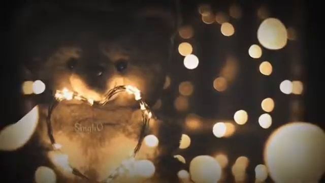 Teri barishen bhigaye mujhe смотреть онлайн