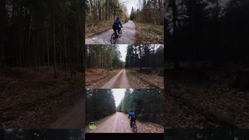 Лесные дороги #Калининград #велосипед #bicycle #велосипеды #cycling #весна #spring #forest #лес