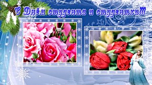 С Татьяниным Днём! Розы и тюльпаны для красавицы Татьяны от Киностудии Мудрого Кота Тимофея!