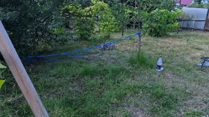 хурма россиянка  28.07.2024