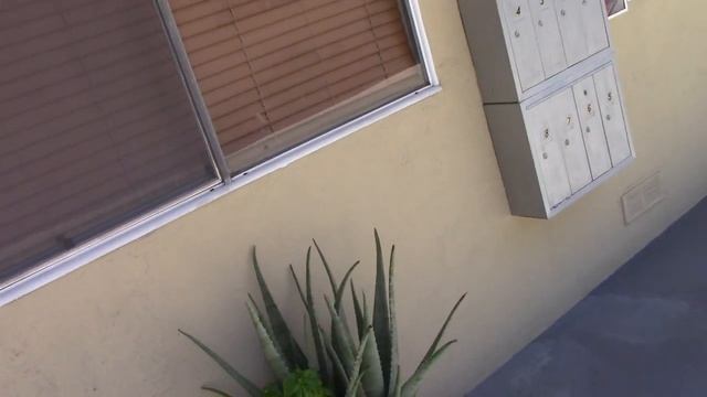 Мои ужасные соседи. Часть 10 смотреть онлайн