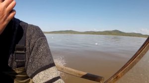 Рыбалка сплавными сетями. Посадили сеть с уловом на остров. Ловля кеты в Амуре!