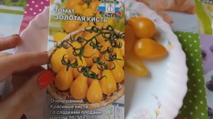 Черри-томат Золотая кисть от Седек