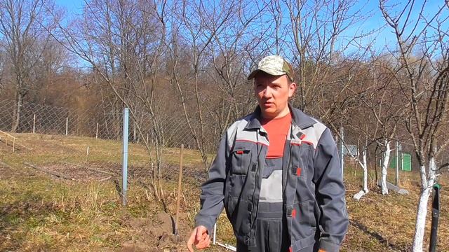 Природное земледелие, Теплые грядки! УРОЖАЙ В ДВА РАЗА БОЛЬШЕ! Технология старорусских от ЖКВ.
