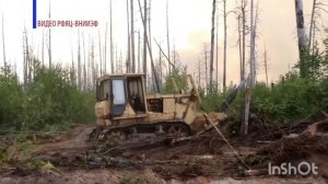 Пожары в мордовском заповеднике
