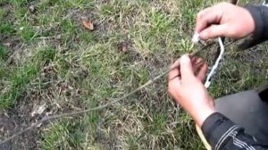 Три вида подвязки виноградной лозы. Чем и как подвязать виноград