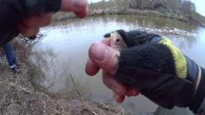 Белая рыба на наноджиг (Мормышинг), целенаправленно.