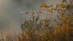 Крылатые гусары Речи Посполитой и традиционная военная песня