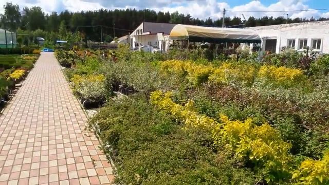...Полёт бабочек во "Временах Года"...
