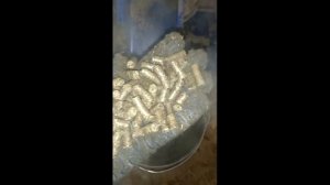 Гранулятор "Комбо" 165 . Процесс гранулирования лузги подсолнечника.