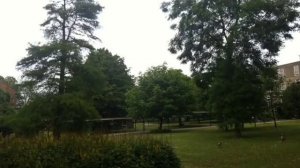 Firuddin Seferov - Bu yashil agacin alti bizimdir (York, England)