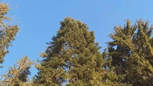Лохматый бомж в прожжённой сигаретами синей болоньевой куртке и коричневых вельветовых брюках приня