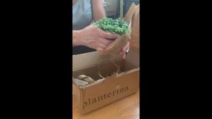 Planterina unboxing’s!