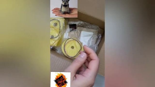 Распаковка от формодела Felis mold. Та самая форма волка!.mp4